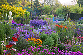 Blick auf den Garten und die Gärtnerei mit Astern und anderen Herbstblühern