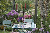 Table laid under the tree