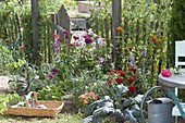 Create a bed of annual summer flowers