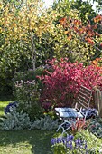 Seat on the autumnal bed with shrubs and perennials
