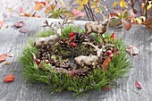 Autumnal pinus wreath decorated with cones