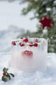 Ice lantern with frozen berries