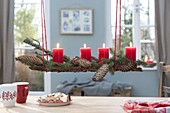 Red candles on bark with picea (spruce) branches with cones