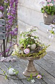 Anemone nemorosa (Wood anemone) in wreath made from Salix (willow)