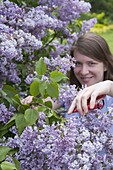 Woman cutting lilac in spring garden