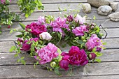 Wreath of paeonia (peony), clematis (clematis) and malus