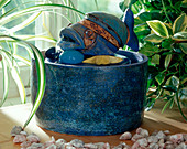 Ceramic fish as a water feature