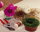 Anemone blossom in duck egg pot with sagina, hay, wire, duck egg and anemone blossom