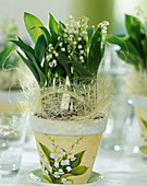 Convallaria majalis (lily of the valley)