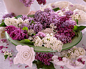 Bowl of syringa vulgaris (lilac)