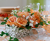 Iron holder with historical roses 'Abraham Darby'