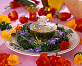 Edible table decoration, Tropaeolum (nasturtium), Borago