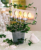Hedera helix (ivy) with tealight holder