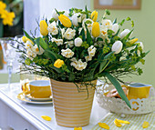 Narcissus 'Bridal Crown' / Narzisse, Tulipa / Tulpen, Euphorbia