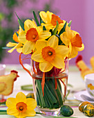 Narcissus 'Red Devon' (Daffodils)