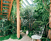 Conservatory with Passiflora, Acca sellowiana,