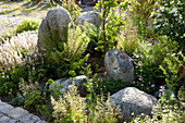 Shady bed in the front yard with shrubs, perennials and boulders