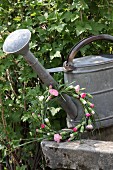 Wreath of carnations leaning against zinc watering can