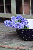 Bunch of blue hyacinths in rustic china bowl