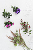 Asters, rose hips, poppy seedheads, grasses and thistles on white surface