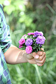 Boy holding posy of asters