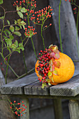 Arrangement of rose hips and pumpkin on weathered wooden bench