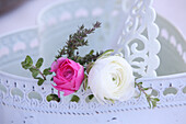 Ranunculus flowers in white vintage container