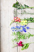 Cut cottage-garden flowers on rustic wooden surface