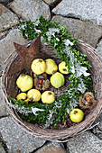 Curved arrangement of box in basket of quinces and sweet chestnuts