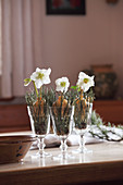 Hellebores and pine needles in wine glasses