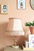 Artistic table lamp with traditional lampshade next to succulent in terracotta pot arranged on top of decorative boxes