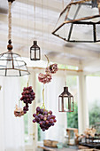 Grapes and hydrangea flowers hung between lamps