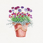 Ornate plant pot with Osteospermum, Verbena and Helichrysum