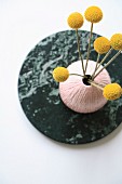 Craspedia flowers in pink vase on round stone plate seen from above