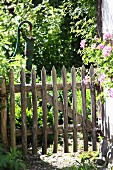Wooden fence around herb garden with hand pump