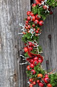 Wreath of rose hips and moss on weathered board wall (detail)