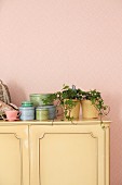 Houseplant and tins on top of pastel yellow cabinet on pink wallpaper