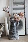 Dried protea flowers in old metal jug in front of shutter