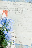 Forget-me-nots in front of old letter written in French
