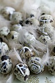 Quail eggs decorated with letters and patterns amongst feathers