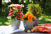 Colourful flower arrangement of tagetes and zinnias