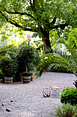 Potted plants and set of boules in summery gravel courtyard