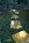 Path of golden tiled panels on mossy woodland floor