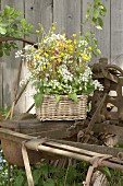 Cow parsley, red campion and buttercups in wicker basket