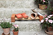 Garden clogs and plant pot on DIY cane shoe rack on stone steps