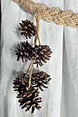 Pine cones hung from rope curtain tie-back
