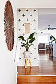 Houseplant on stool in the hallway with wall decoration