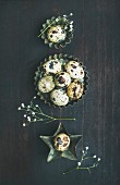 Quail eggs in metal molds and dried flowers for Easter holiday over dark scorched wooden background