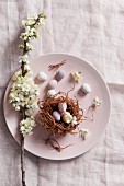 Branch of blossom and Easter nest of chocolate eggs on plate