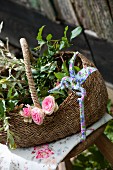 Roses, green branched and secateurs in shopping basket